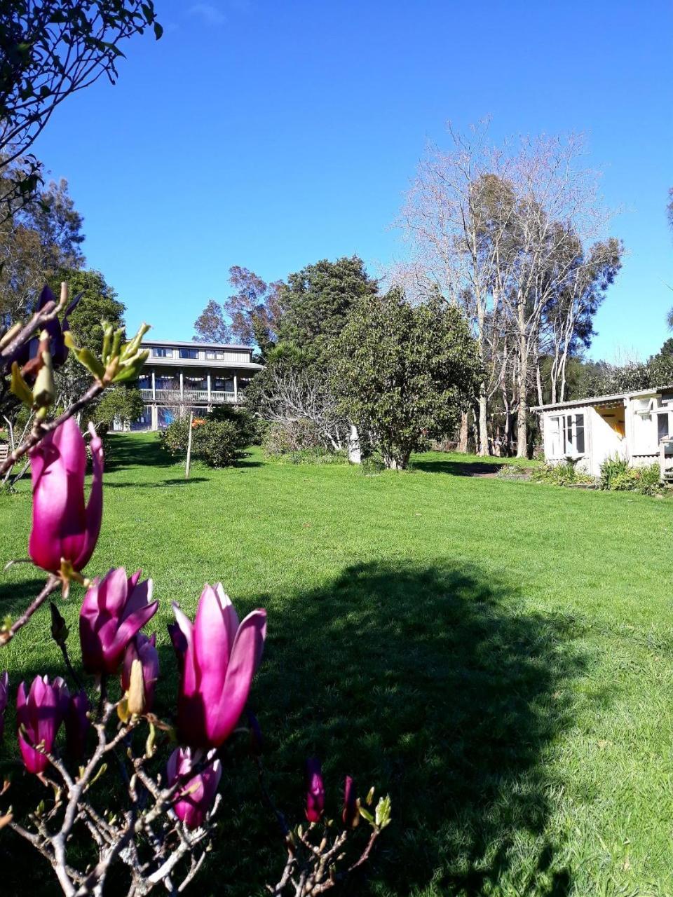 Mahamudra Buddhist Centre Hotel Colville Kültér fotó